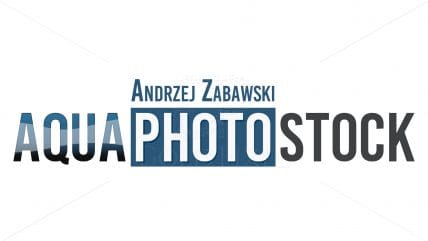 Projekt logotypu aquaphotostock